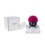 Minimalist white gift box with black rim containing glossy black vase filled with vibrant magenta roses