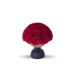 A photograph of a round, black pedestal vase holding a lush, vibrant bouquet of red roses. The roses are densely packed, with rich, velvety petals and dark green leaves peeking through. The vase is simple, modern, and sleek, with a matte finish. The background is stark white, creating a minimalist, elegant aesthetic that emphasizes the vivid red of the roses. The shadows cast by the vase and flowers are subtle, adding depth to the image.high quality, detailed, photograph , hd, 8k , 4k , sharp, highly detailed
