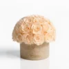 Pale peach roses in a beige cylindrical vase with gold label, minimalist floral design.