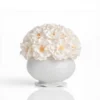 White Chandon Hydrangea vase with white flowers, elegant floral display