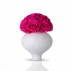 ChatGPT Image Jul 2, 2026, 07_06_37 AM.webp